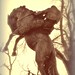 Constance Warren Photo 12