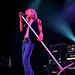 Steve Whiteman Photo 34