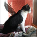 Debora Wing Photo 6
