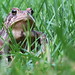 Edgar Stephens Photo 7