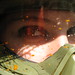 Janice Fox Photo 21
