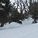 Kyle Olson Photo 19