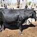 Timothy Farmer Photo 9