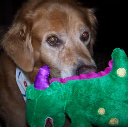 Colleen Edwards Photo 6