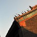 Chia Yang Photo 20