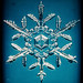 Crystal Snow Photo 16
