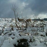 Scott Rawlins Photo 6
