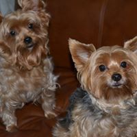 Vickie Quick Photo 22