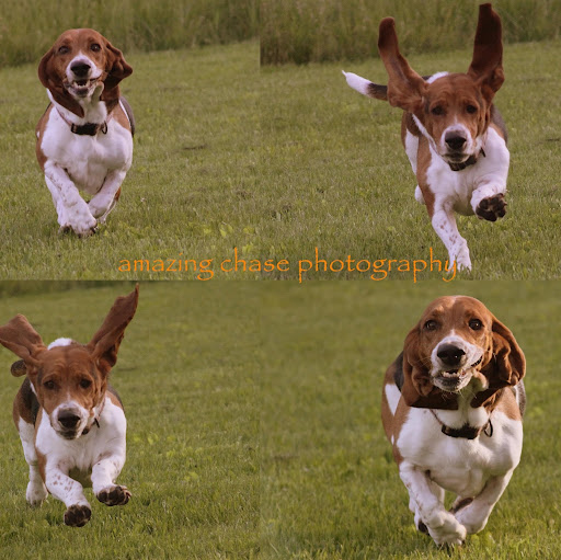 Wendy Chase Photo 32