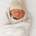 Jay Schwarz Photo 7