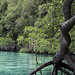 Hong Ko Photo 8