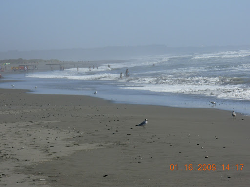 Stephen Kuhn Photo 30