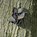 Glen Thompson Photo 41