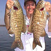Steve Hacker Photo 6