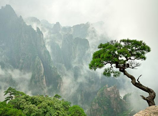 Jan Huang Photo 13