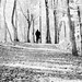 Meredith Root Photo 6