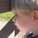Joyce Gallaher Photo 11