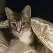 Dexter Reynolds Photo 2