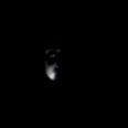 Mohamad Nasser Photo 20