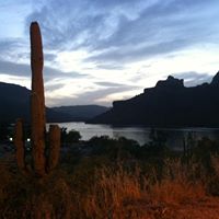 Mark Oglevie Photo 8