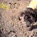 Nicky Ramirez Photo 21