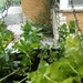 Jenny Nettles Photo 7