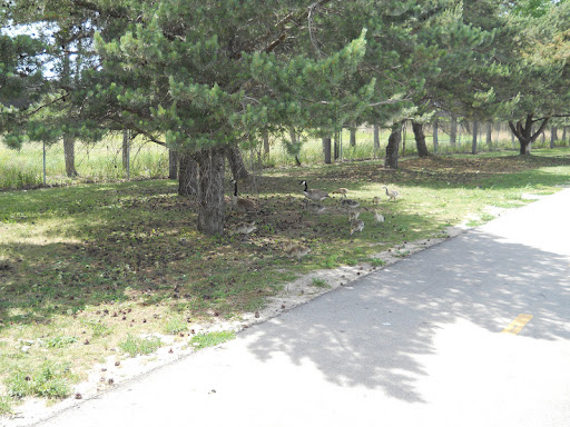 Steven Hubbard Photo 12