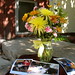 Teresa Stanfield Photo 7