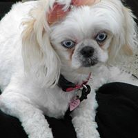 Patricia Hendricks Photo 16