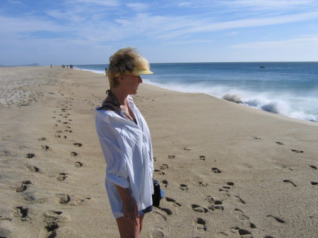 Carol Henderson Photo 17