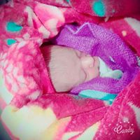Satpal Singh Photo 5