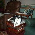 Mary Pennebaker Photo 5