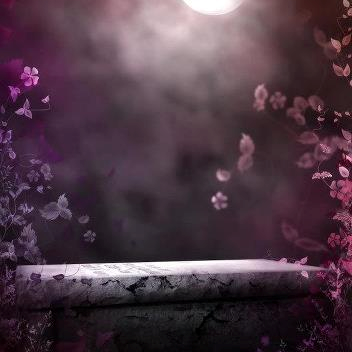 Susan Cullen Photo 28