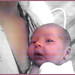 Christopher Born Photo 11