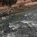 Elizabeth Bartley Photo 9