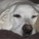 Ann Adkins Photo 24