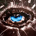 Susan Stark Photo 16