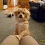Cheryl Phillips Photo 7