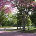 H Bloom Photo 3