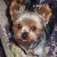 Bobbi Russell Photo 7