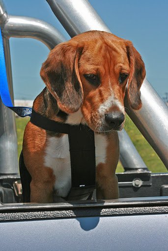 Tracy Preece Photo 12
