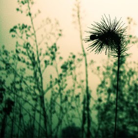 Agnes Chow Photo 14