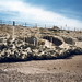 Bruce Welsh Photo 32