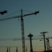 Allen Crane Photo 18