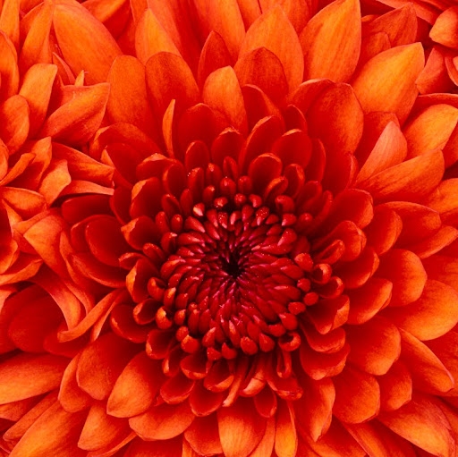 Robyn Hardy Photo 35