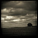 Christine Cloud Photo 13