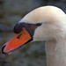 Fred Ells Photo 7