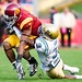 Rodney Wolfe Photo 15