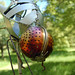 Steve Blaylock Photo 11