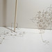 Alison Owen Photo 19